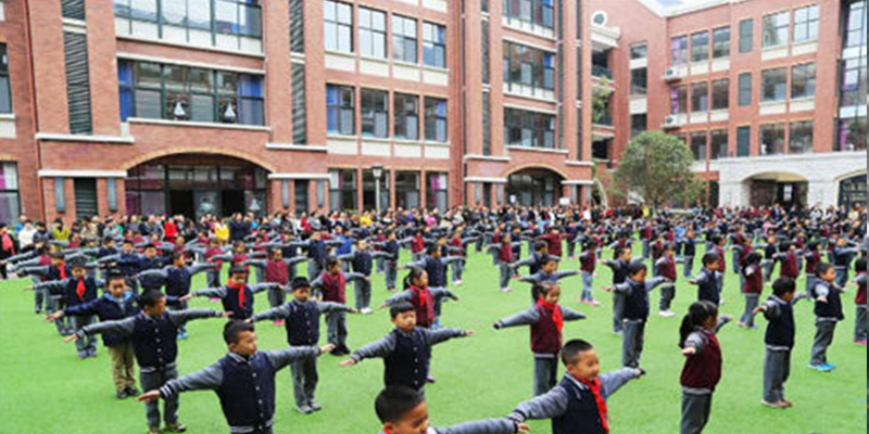 乐虎lehu成功落户于乐湾国际实验小学多功能厅